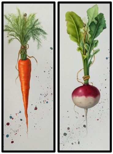 Modern Veggies - Turnip & CarrotJanuary 30, 2026